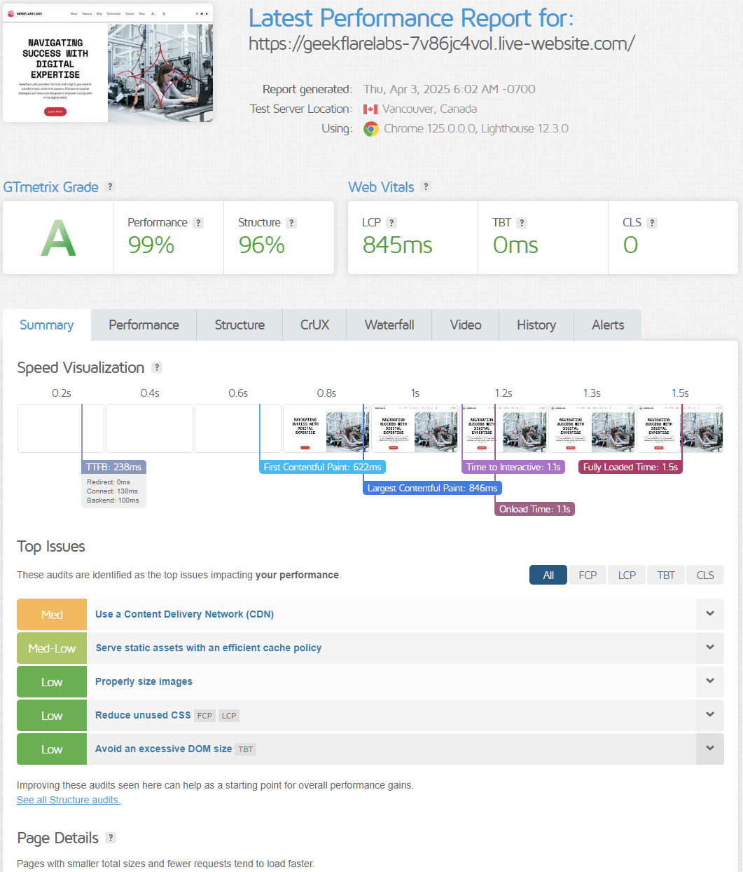 IONOS GTMetrix report